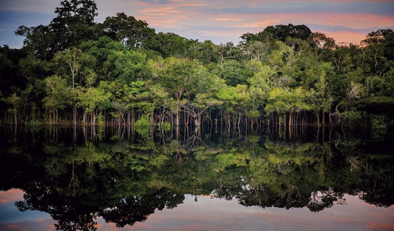 AMAZÔNIA BRASILEIRA